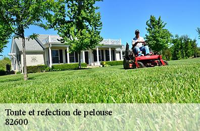 Tonte et refection de pelouse 82600