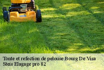 Tonte et refection de pelouse  bourg-de-visa-82190 Steis Elagage pro 82