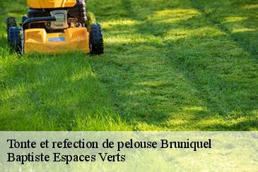 Tonte et refection de pelouse bruniquel-82800 Baptiste Espaces Verts