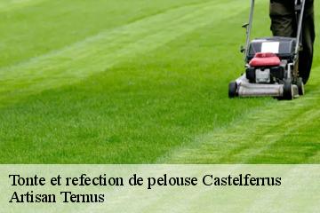 Tonte et refection de pelouse  castelferrus-82100 Artisan Ternus