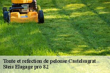Tonte et refection de pelouse castelsagrat-82400 Steis Elagage pro 82