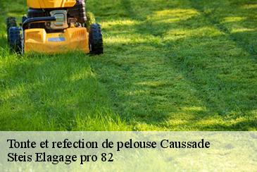 Tonte et refection de pelouse  caussade-82300 Steis Elagage pro 82