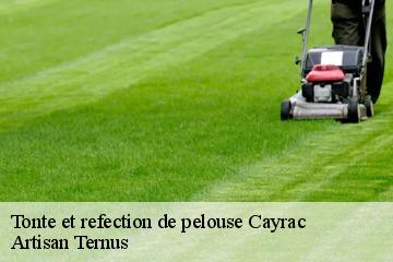 Tonte et refection de pelouse  cayrac-82440 Artisan Ternus