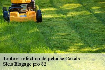 Tonte et refection de pelouse cazals-82140 Steis Elagage pro 82