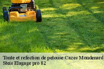 Tonte et refection de pelouse cazes-mondenard-82110 Steis Elagage pro 82