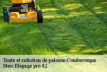Tonte et refection de pelouse comberouger-82600 Steis Elagage pro 82
