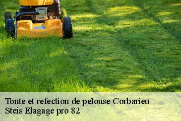 Tonte et refection de pelouse corbarieu-82370 Steis Elagage pro 82