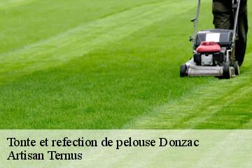 Tonte et refection de pelouse  donzac-82340 Artisan Ternus