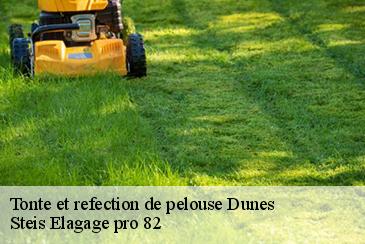 Tonte et refection de pelouse dunes-82340 Steis Elagage pro 82