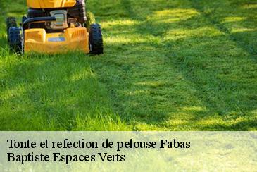 Tonte et refection de pelouse  fabas-82170 Baptiste Espaces Verts 