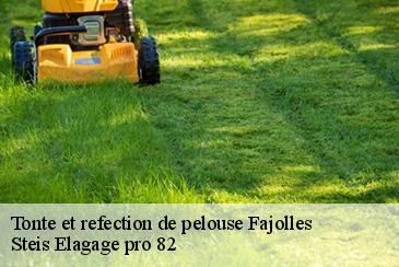 Tonte et refection de pelouse fajolles-82210 Steis Elagage pro 82
