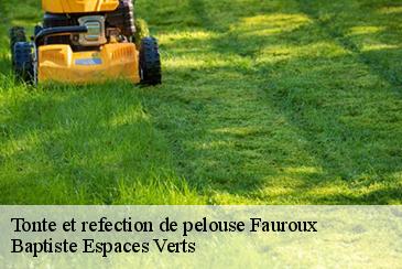 Tonte et refection de pelouse fauroux-82190 Baptiste Espaces Verts