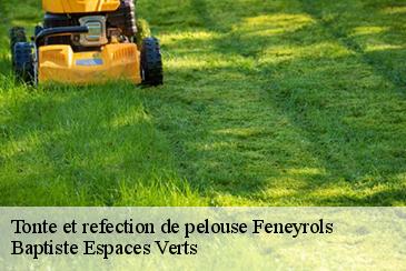 Tonte et refection de pelouse feneyrols-82140 Baptiste Espaces Verts