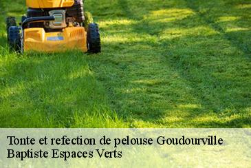 Tonte et refection de pelouse goudourville-82400 Baptiste Espaces Verts
