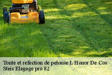 Tonte et refection de pelouse  l-honor-de-cos-82130 Steis Elagage pro 82