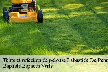 Tonte et refection de pelouse  labastide-de-penne-82240 Baptiste Espaces Verts 