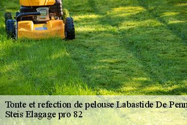 Tonte et refection de pelouse labastide-de-penne-82240 Steis Elagage pro 82