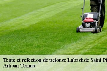 Tonte et refection de pelouse  labastide-saint-pierre-82370 Elagage Calvet