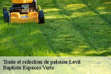 Tonte et refection de pelouse lavit-82120 Baptiste Espaces Verts