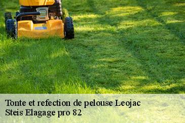 Tonte et refection de pelouse leojac-82230 Steis Elagage pro 82