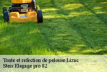Tonte et refection de pelouse  lizac-82200 Steis Elagage pro 82