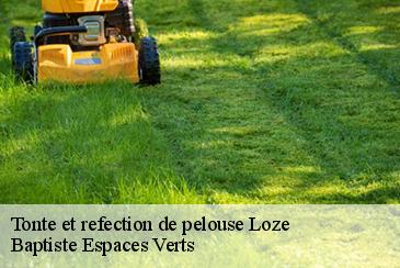 Tonte et refection de pelouse loze-82160 Baptiste Espaces Verts