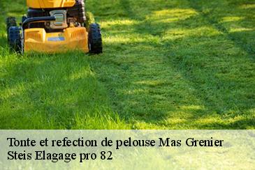 Tonte et refection de pelouse mas-grenier-82600 Steis Elagage pro 82