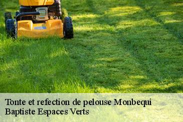 Tonte et refection de pelouse monbequi-82170 Baptiste Espaces Verts