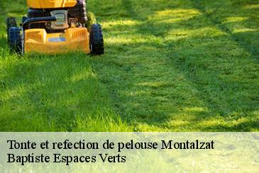 Tonte et refection de pelouse  montalzat-82270 Baptiste Espaces Verts 
