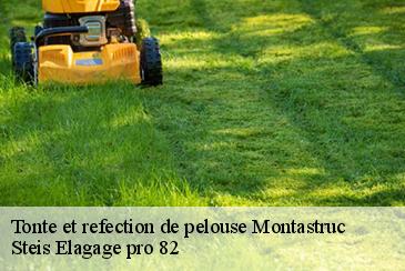 Tonte et refection de pelouse montastruc-82130 Steis Elagage pro 82