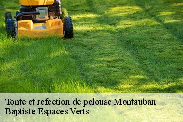 Tonte et refection de pelouse montauban-82000 Elagage Calvet