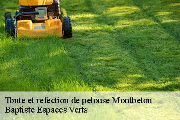 Tonte et refection de pelouse montbeton-82290 Baptiste Espaces Verts
