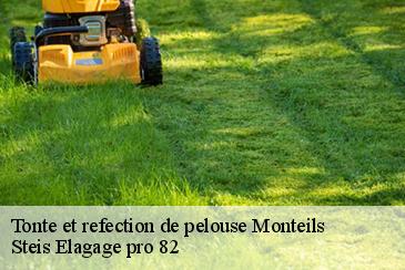 Tonte et refection de pelouse  monteils-82300 Steis Elagage pro 82