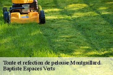Tonte et refection de pelouse montgaillard-82120 Baptiste Espaces Verts