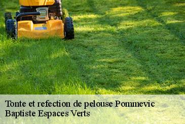 Tonte et refection de pelouse pommevic-82400 Baptiste Espaces Verts