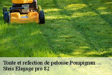 Tonte et refection de pelouse pompignan-82170 Steis Elagage pro 82