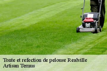 Tonte et refection de pelouse  realville-82440 Artisan Ternus