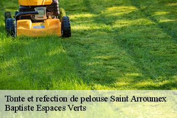 Tonte et refection de pelouse saint-arroumex-82210 Baptiste Espaces Verts