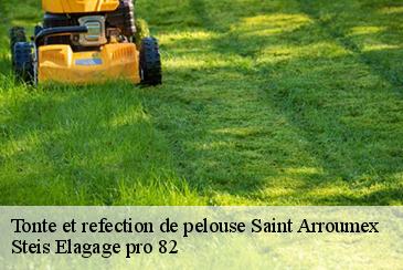 Tonte et refection de pelouse  saint-arroumex-82210 Steis Elagage pro 82