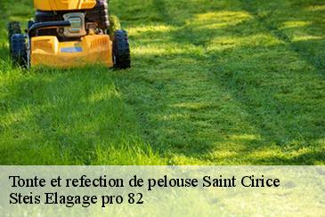 Tonte et refection de pelouse  saint-cirice-82340 Steis Elagage pro 82