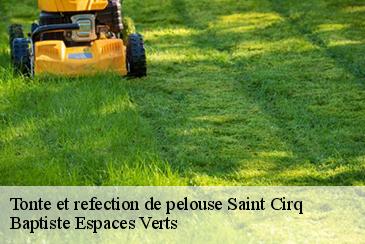Tonte et refection de pelouse saint-cirq-82300 Baptiste Espaces Verts
