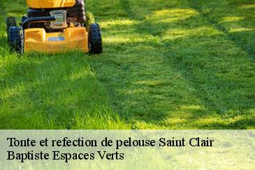 Tonte et refection de pelouse saint-clair-82400 Baptiste Espaces Verts