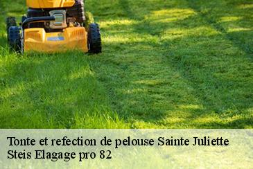 Tonte et refection de pelouse sainte-juliette-82110 Steis Elagage pro 82