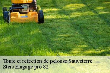 Tonte et refection de pelouse  sauveterre-82110 Steis Elagage pro 82