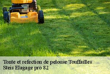 Tonte et refection de pelouse touffailles-82190 Steis Elagage pro 82