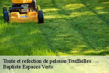 Tonte et refection de pelouse touffailles-82190 Elagage Calvet