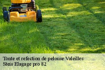 Tonte et refection de pelouse valeilles-82150 Steis Elagage pro 82