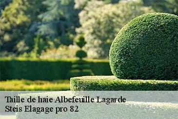 Taille de haie albefeuille-lagarde-82290 Steis Elagage pro 82