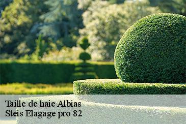 Taille de haie albias-82350 Steis Elagage pro 82