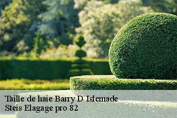 Taille de haie barry-d-islemade-82290 Steis Elagage pro 82
